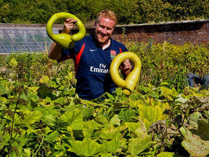 Supporting image for story: Exotic taste of Eden as Shropshire walled garden brought back to life