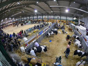 Supporting image for story: Record entries at Staffordshire County Show