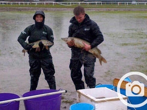Supporting image for story: Fish left high and dry at Worcester Racecourse as flood levels drop