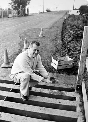 Major Coles in 1981 demonstrates the problem at a cattle grid at Doddington, near Clee Hill.