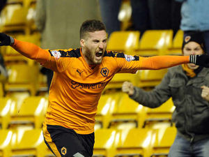 Supporting image for story: Matt Doherty: Wolves have not come close