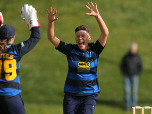 Supporting image for story: Issy speeds into the Phoenix squad for summer of cricket