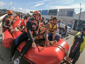 Supporting image for story: Caramelo, Brazilian horse stranded on roof by floods, is rescued