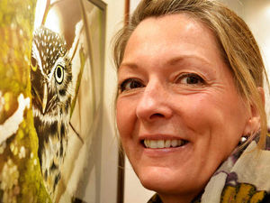 Supporting image for story: Art in frame at Staffordshire's Shugborough Hall