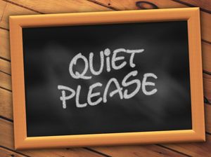 Supporting image for story: Loud buskers: It's about time to put some shhhh into Shrewsbury