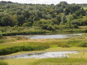 Supporting image for story: Plenty of activities for all as Games festival site comes to Sandwell