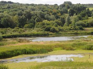 Supporting image for story: Plenty of activities for all as Games festival site comes to Sandwell