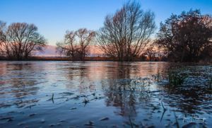 Flooding in Bangor-on-Dee where homes were evacuated. Pic: Ian Humphreys