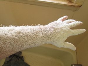 Supporting image for story: Here’s what happens to your arm when you sand wood for an hour