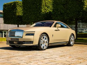 Supporting image for story: The Rolls-Royce Spectre Bailey pays tribute to a driver’s beloved pet