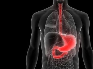 Supporting image for story: Here’s how the body prevents helpful bacteria from causing disease