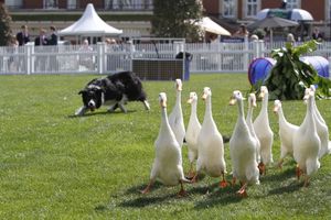 Supporting image for story