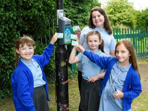 Supporting image for story: 6,500 take part in Beat The Street Shrewsbury game