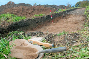 Supporting image for story: Dig fails to unearth signs of Roman road