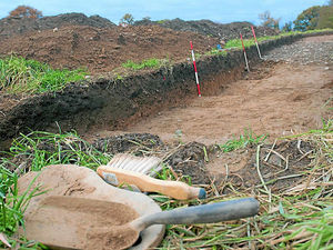 Supporting image for story: Dig fails to unearth signs of Roman road