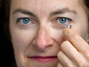 Supporting image for story: Palaeontologists solve pterosaur feather mystery