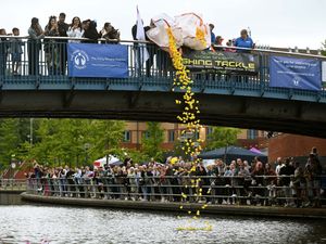 Supporting image for story: Watch: Ducks at the ready for Black Country Duck Race