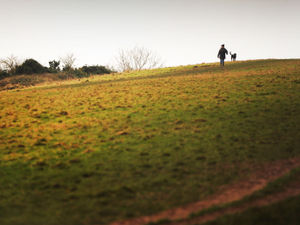 Supporting image for story: New Shropshire nature reserves to be confirmed