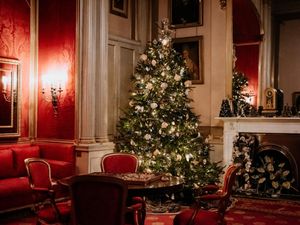 Supporting image for story: Step inside a winter wonderland at Attingham Park