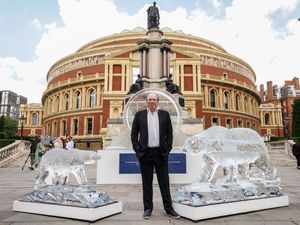 Supporting image for story: BBC launches Frozen Planet II with melting ice sculptures in London