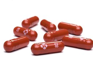 Supporting image for story: Millions more antivirals secured to help fight Omicron
