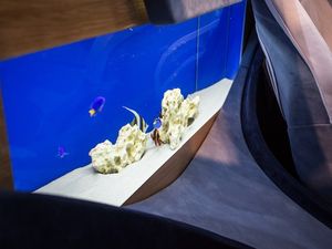 Supporting image for story: This new Italian supercar comes with its own built-in aquarium 