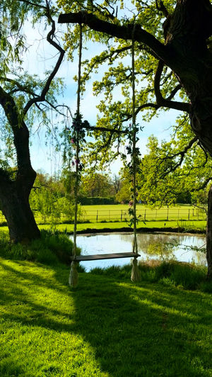 Some of Natasja's work for Airbnb