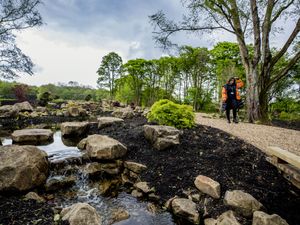 Supporting image for story: RHS unveils emergency plans to future-proof gardens for drought