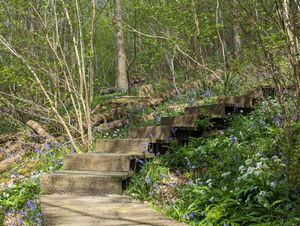 Over 60 walks take place during the festival, exploring the natural and cultural history of Ironbridge and surrounding areas.