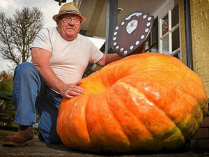Supporting image for story: Call that a pumpkin? THIS is a pumpkin!