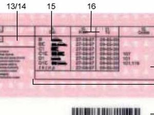 Supporting image for story: The PC road to madness