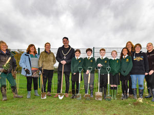 Supporting image for story: More than 2,000 saplings planted in Oswestry 