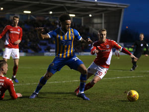 Supporting image for story: Shrewsbury Town 0 Charlton 3 - Report and pictures