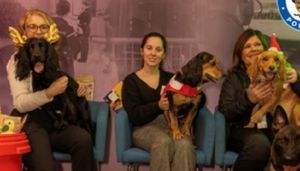 Arcus staff with WMP dogs