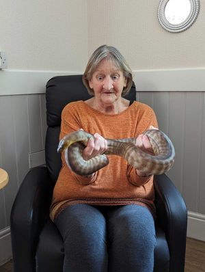 Jennifer Gater, 79, said the 'cats were not too pleased' but they luckily soon got used to it