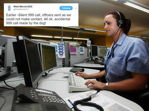 Supporting image for story: Dog makes 'accidental' 999 call to West Mercia Police