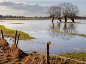 Supporting image for story: Government faces calls to expand farming flood support fund to Shropshire
