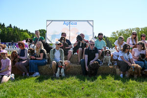 DogFest, partnered with Agria Pet Insurance