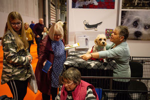 Visitors at the Dandie Dinmont Terrier stall at the National Pet Show at the NEC, Birmingham. PA Photo. Picture date: Sunday November 3, 2019.  Photo credit should read: Jacob King/PA Wire.