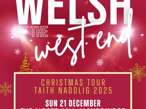 Supporting image for story: Super-group ‘Welsh of the West End’ to perform in Llandrindod Wells four days before Christmas