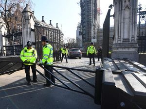 Supporting image for story: Police dismiss water cannon claims by Ukip leader ahead of Brexit protests