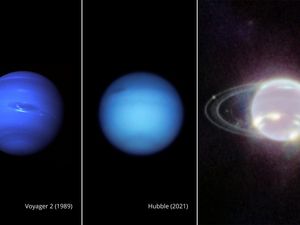 Supporting image for story: Neptune and rings shine in photos from new space telescope