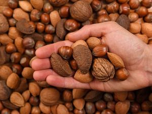 Supporting image for story: Get some nuts … and supercharge your sperm