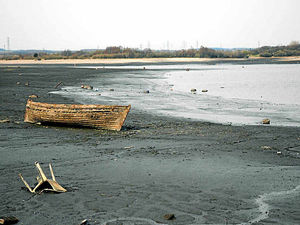 Supporting image for story: Hidden depths of Chasewater reservoir - in pictures