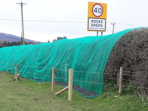 Supporting image for story: Anger as hedge netting puts birds at risk in Shropshire