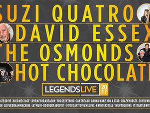 Supporting image for story: David Essex, Suzi Quatro, Hot Chocolate and The Osmonds coming to Birmingham