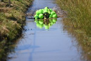 A bog snorkelling competitor dressed as a bunch of grapes.