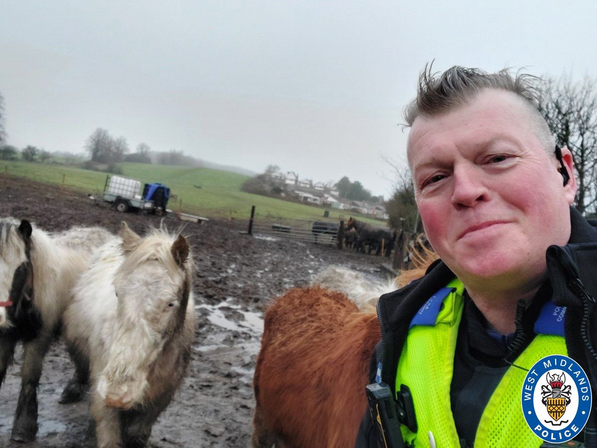 Runaway horse and speed checks keep Dudley Police busy on community patrols