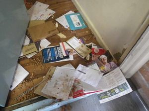 Where the cat was discovered