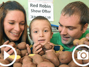 Supporting image for story: Organisers pleased by the wide appeal of Shropshire's annual potato day show